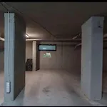 Divin