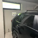 Divin *